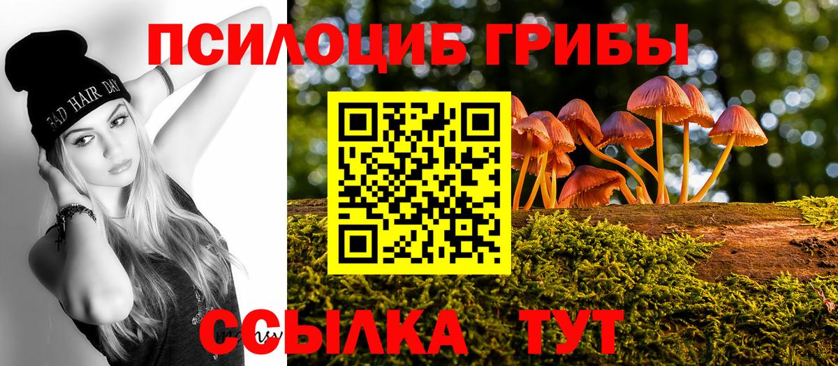 Псилоцибиновые грибы MAGIC MUSHROOMS  Вход с VPN  Воркута 